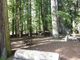 We did not find results for: Moon Of Endor Picture Of Grizzly Creek Redwoods State Park Carlotta Tripadvisor