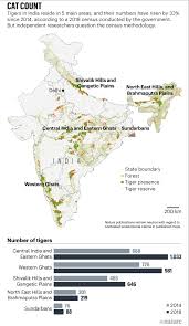 Indias Tigers Seem To Be A Massive Success Story Many
