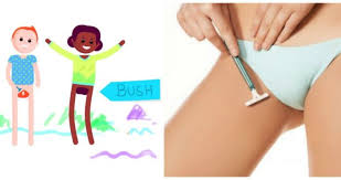 Learn how to trim and shave your pubic hair, using the right techniques and tools. Video Here S Why You Should Never Shave Your Pubic Hair Joe Is The Voice Of Irish People At Home And Abroad