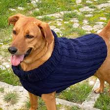 Knitted Dog Sweater Pattern 3 Sizes