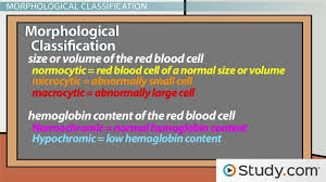 Anemia Classification Of Different Types