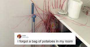 Finds Potatoes Taking Over Her Kitchen