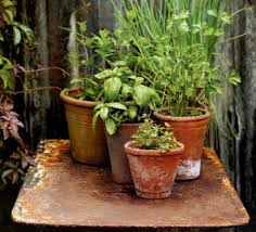 How To Set Up A Windowsill Herb Garden