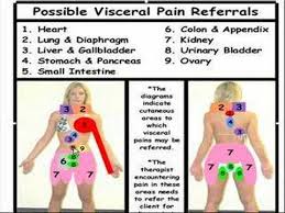 Possible Organ Referred Pain
