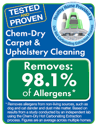 green leaf chem dry upholstery cleaning