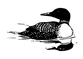 Popular upcoming coloring page suggestions: Coloring Page Duck Free Printable Coloring Pages Img 19043