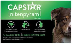 capstar flea treatment for dogs