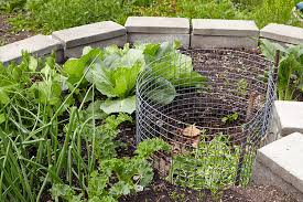 how to build a keyhole garden bed
