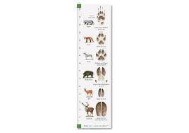 Illustration über tierspuren mit vorderem. Lesezeichen Tierspuren 10er Set Natur Verlag Wawra