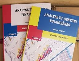 livre comptabilité financière pdf format