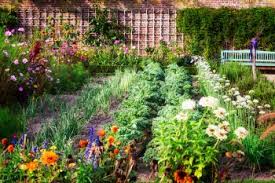 natural pest control for garden for