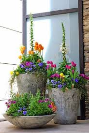 Image result for container gardens
