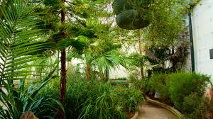 sheffield botanical gardens in