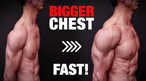 how to get a bigger chest fast just do