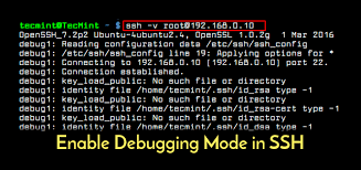 how to enable ssh debug mode to