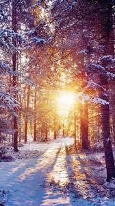 Winter Forest Dawn Landscape iPhone 8 ...