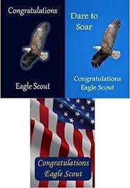 eagle congratulations card bulk pack of