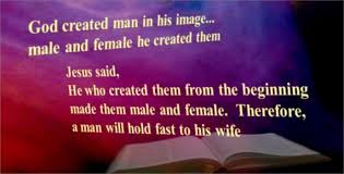 Image result for bible verses against homosexuality