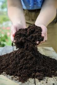 Peat Free Compost Recycling And Reusing