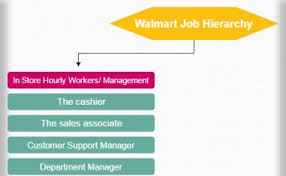 Jobs Hierarchy Job Hierarchy Structure And Charts