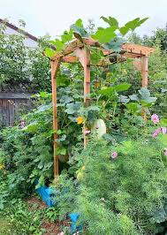 Vertical Gardening