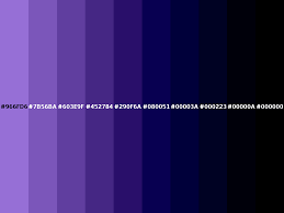dark pastel purple color hex 966fd6