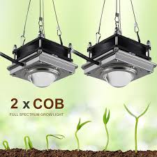 Super Sale 9f0a7e Fitolamp Indoor Cob Led Grow Light Phyto Lamp Full Spectrum Lamp For Plants Lights For Flower Grow Box Seedling Flowers Growing Cicig Co