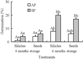 Plus, the boys and i enjoy getting a glimpse into the these exceptional seeds have been germinated by scientists in carefully controlled settings. Effects Of Germination Season On Life History Traits And On Transgenerational Plasticity In Seed Dormancy In A Cold Desert Annual Scientific Reports