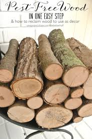 Kill Bugs In Wood My Free Decorative Logs