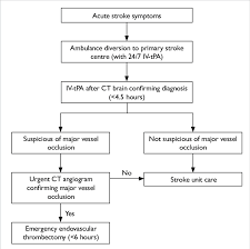patients with acute ischaemic stroke