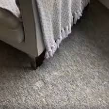 those annoying carpet dents rug doctor