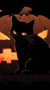 black cat jack o lantern pumpkin