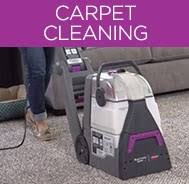 how to deep clean carpet pet friendly
