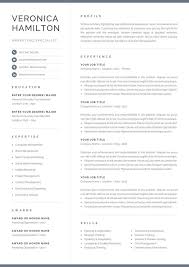 Professional Resume Template Compact 1 Page Resume