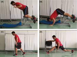 effects of eccentric training at long