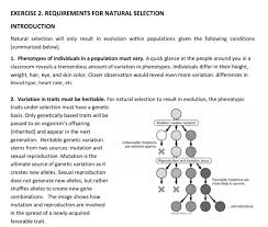 While we talk related with darwin's natural selection worksheet key, scroll the page to see various related images to complete your ideas. Exercise 2 Requirements For Natural Selection Int Chegg Com