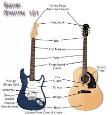 (this is the best way to wire a similarly, you may alter the guitar in such a manner that it becomes unsafe electrically in which case. Music Instrument Electric Guitar Parts Diagram
