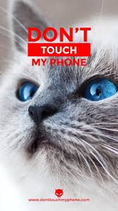 Don T Touch My Phone Cute Cat