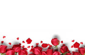 red roses background images hd