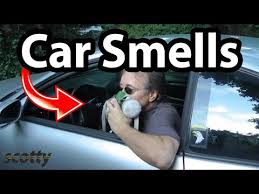 car smells in your car odor eliminator