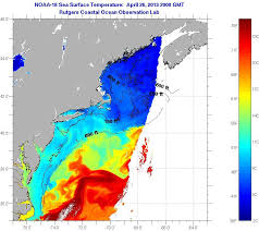 Todays Rutgers Sea Surface Temp Chart Saltwater Fishing