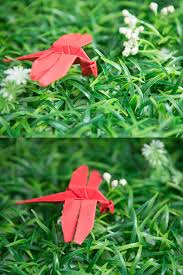 origami dragonfly how to draw