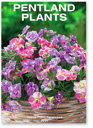 Catalogue Pentland Plants