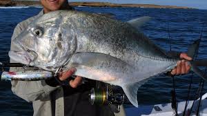 Trevally Giant Fish On