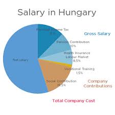 How Do You Calculate Salary And Contributions In Hungary