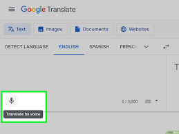 how to use google translate a beginner