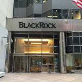 BlackRock is the Biggest Company You've Never Heard of ...