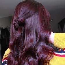 With techniques like balayage pink and plum highlights are for anyone who want to sport a racier style as compared to more subdued highlights but at the same time do not want to go. Hair Color Inspiration 25 Plum Hair Color Photos
