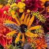› lowes perennial flowers for sale. 1