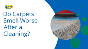 do carpets smell worse after a cleaning